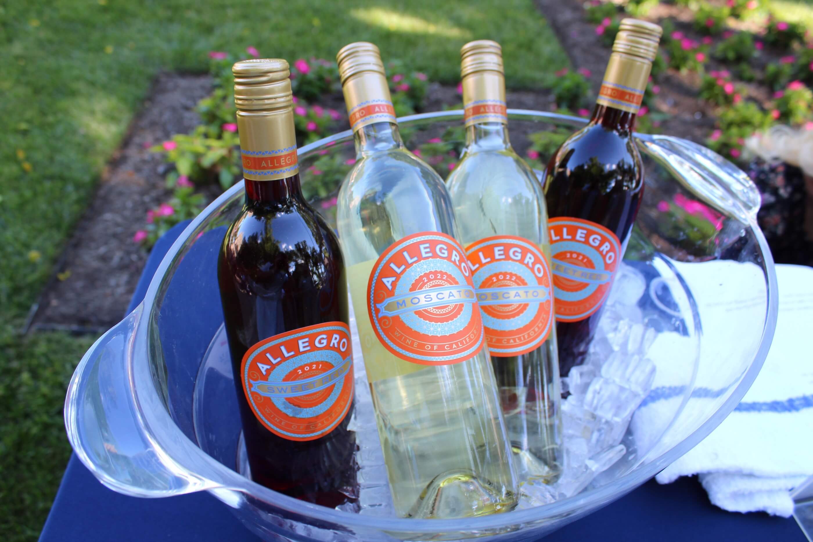 Bucket filled with assorted Allegro wines