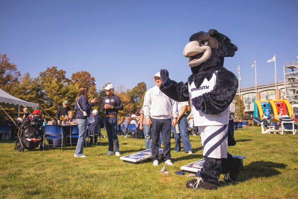 Shadow the hawk playing cornhole