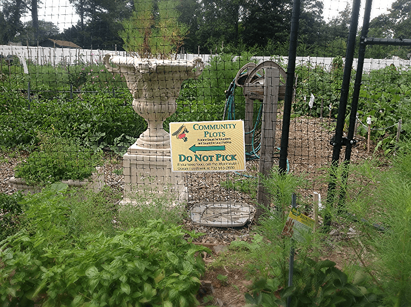 Shot of the community garden. Sign reads: Community Plots. Do Not Pick.
