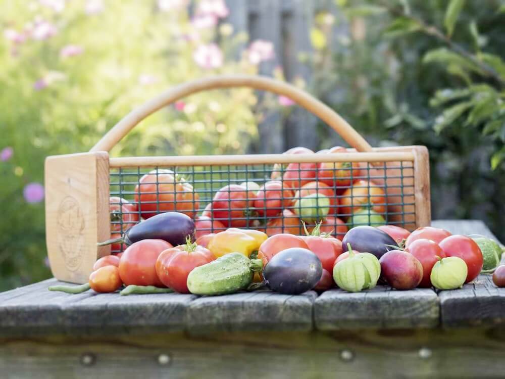 Assorted vegetables in a basket on a table outdoors