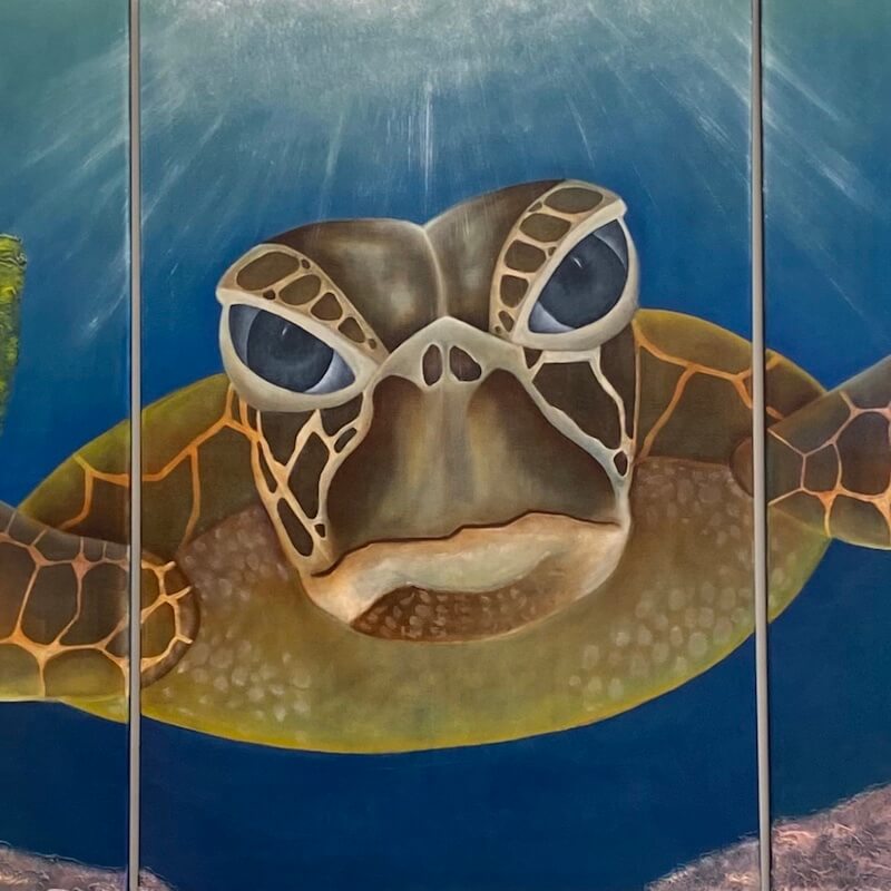 Illustration of Turtle by Gianna Veritas