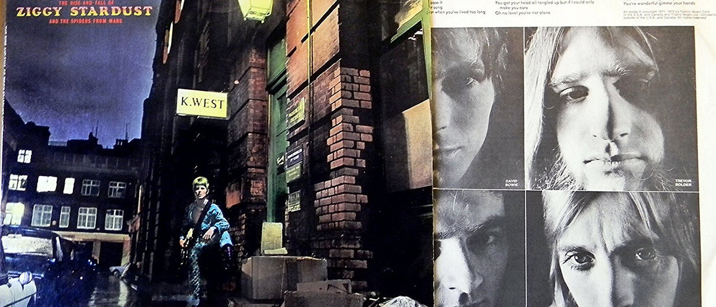 the rise and fall of ziggy stardust