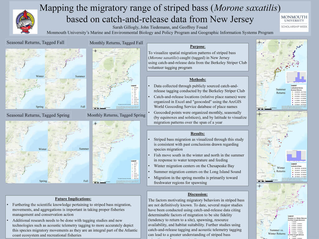 Poster Image: Mapping the Migratory Range of Striped Bass (Morone saxatilis) Based on Catch-and-Release Data from New Jersey by Sarah Gillogly
