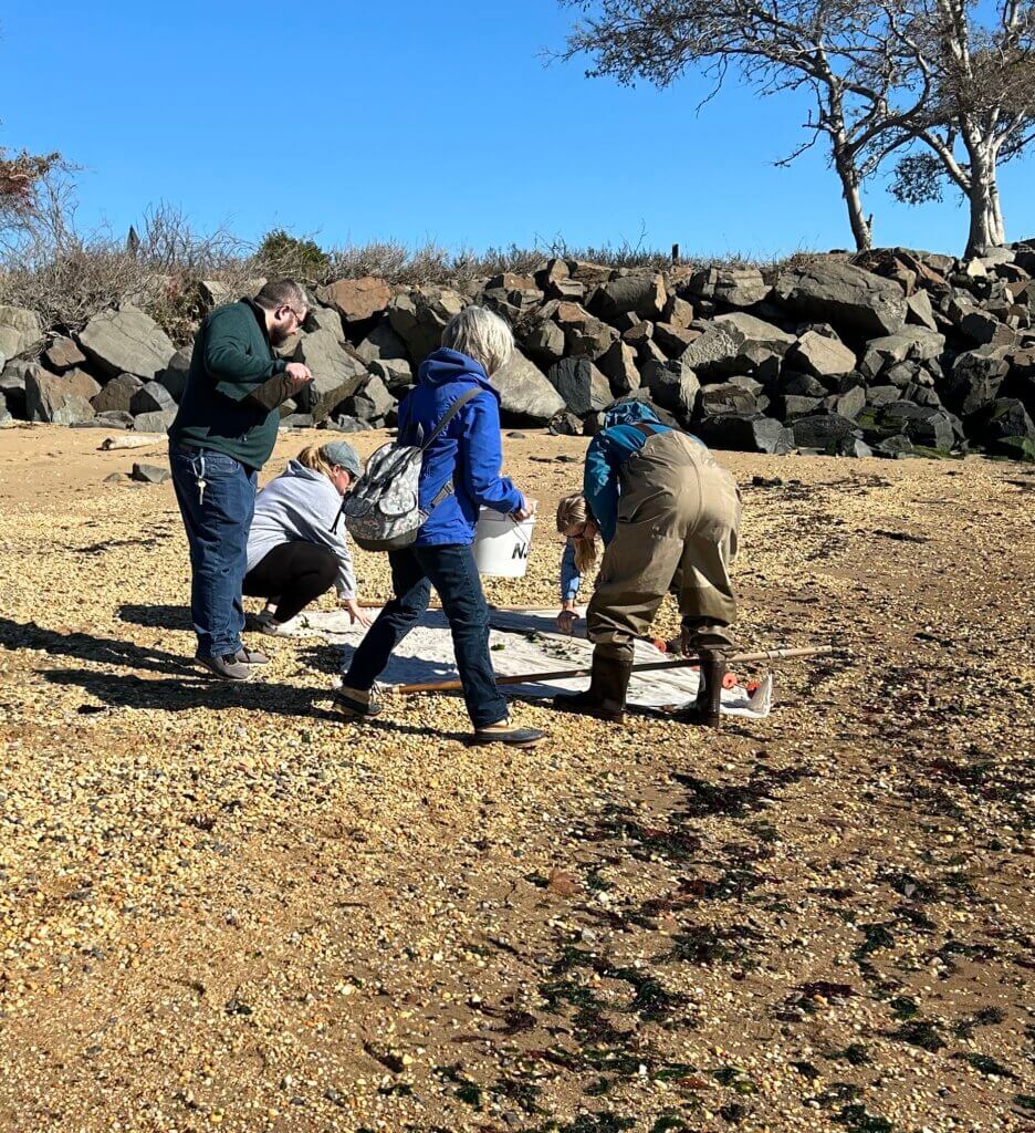 Researchers observe an area of a beacj