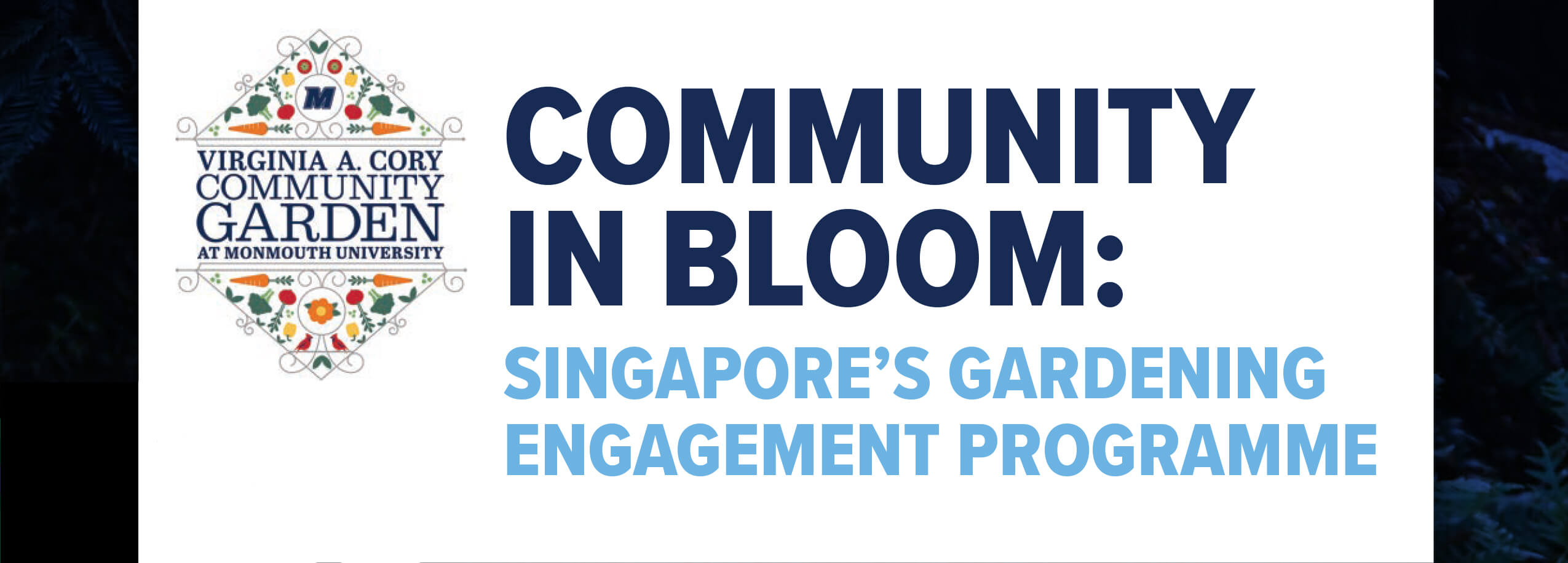 Community in Bloom Singapore's Gardening Engagement Programme School