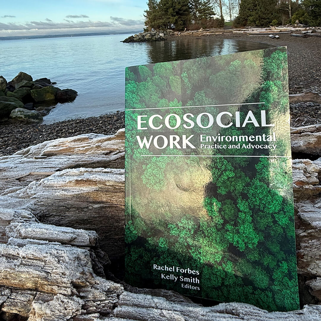 The cover of the book Ecosocial Work with a rocky stream in the background