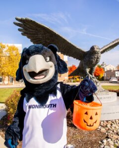 It’s all treats, no tricks from @shadowthehawk! Happy Halloween, #HawkFamily 🎃💙