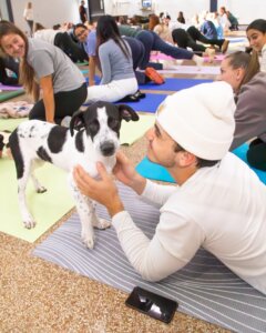 Some poses bring peace, others bring puppies.🧘‍♀️🐶 Our #Hawks found their zen at yesterday’s puppy yoga! 🧘‍♂️💙